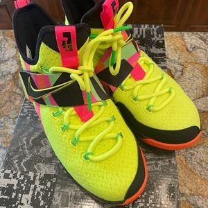 Nike Lebron XIV HWC Basketball Shoes